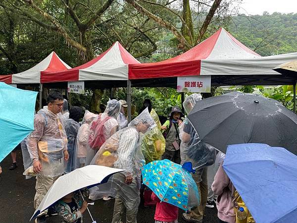 113年4月28日桐花小旅行