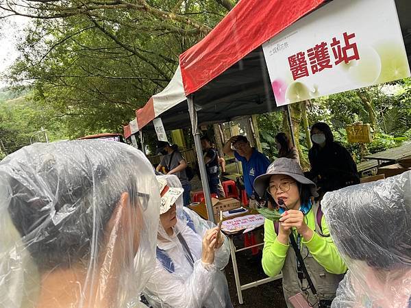 113年4月28日桐花小旅行