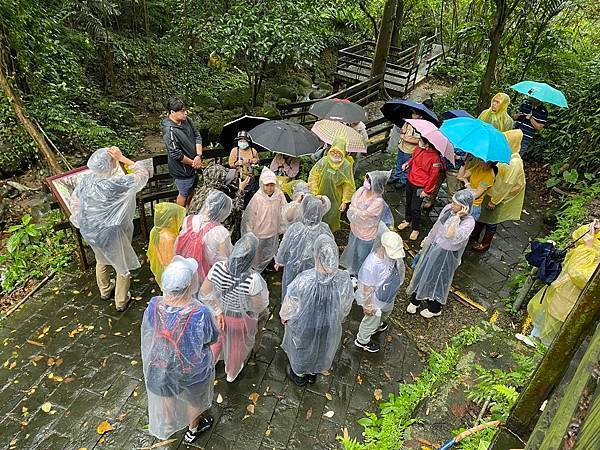 113年4月28日桐花小旅行