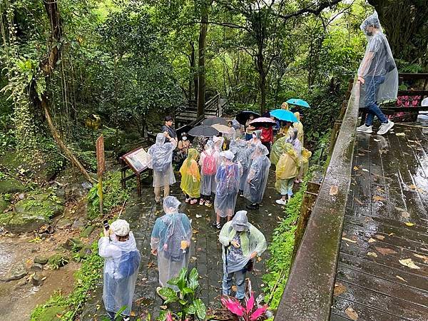113年4月28日桐花小旅行