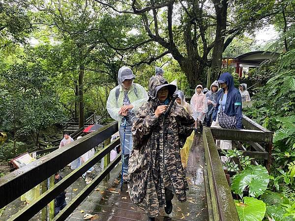 113年4月28日桐花小旅行