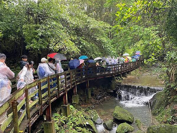 113年4月28日桐花小旅行