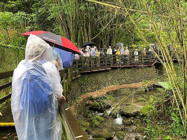 113年4月28日桐花小旅行