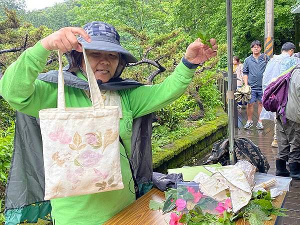 113年4月28日桐花小旅行