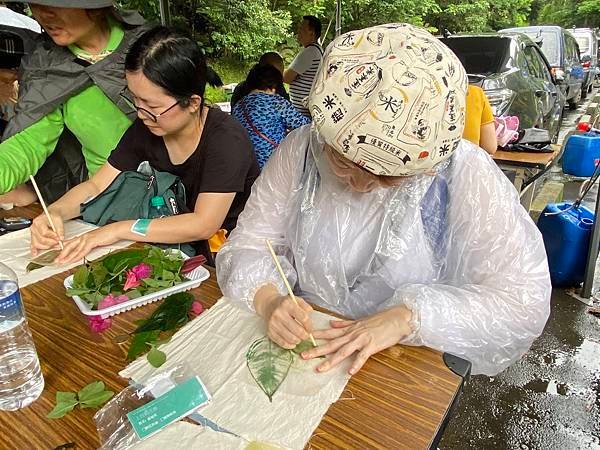 113年4月28日桐花小旅行