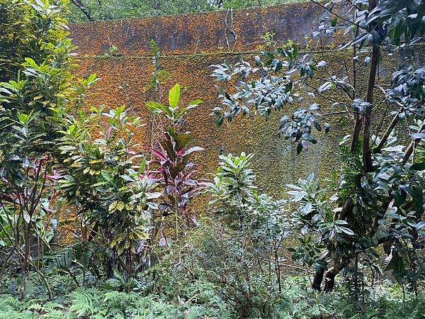 LINE_ALBUM_113.11.3善息寺-採芹步道_241108_69.jpg