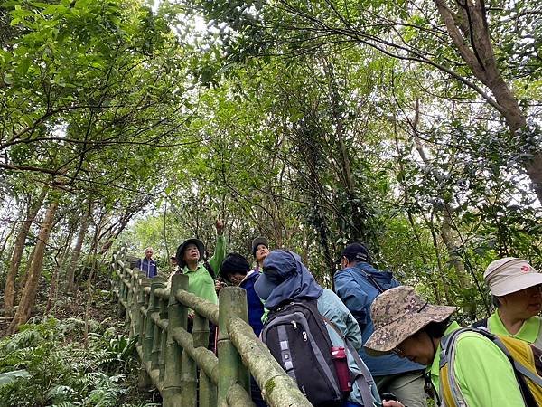 LINE_ALBUM_113.11.3善息寺-採芹步道_241108_50.jpg