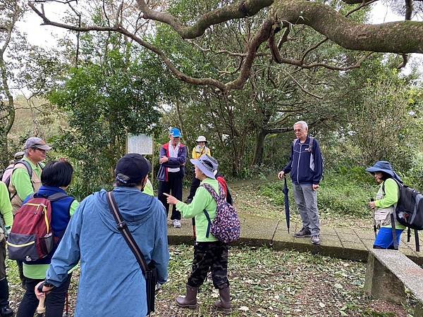 LINE_ALBUM_113.11.3善息寺-採芹步道_241108_36.jpg