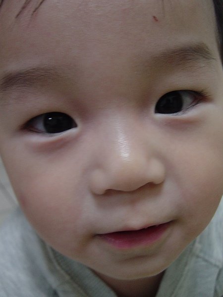 DSC02184.JPG