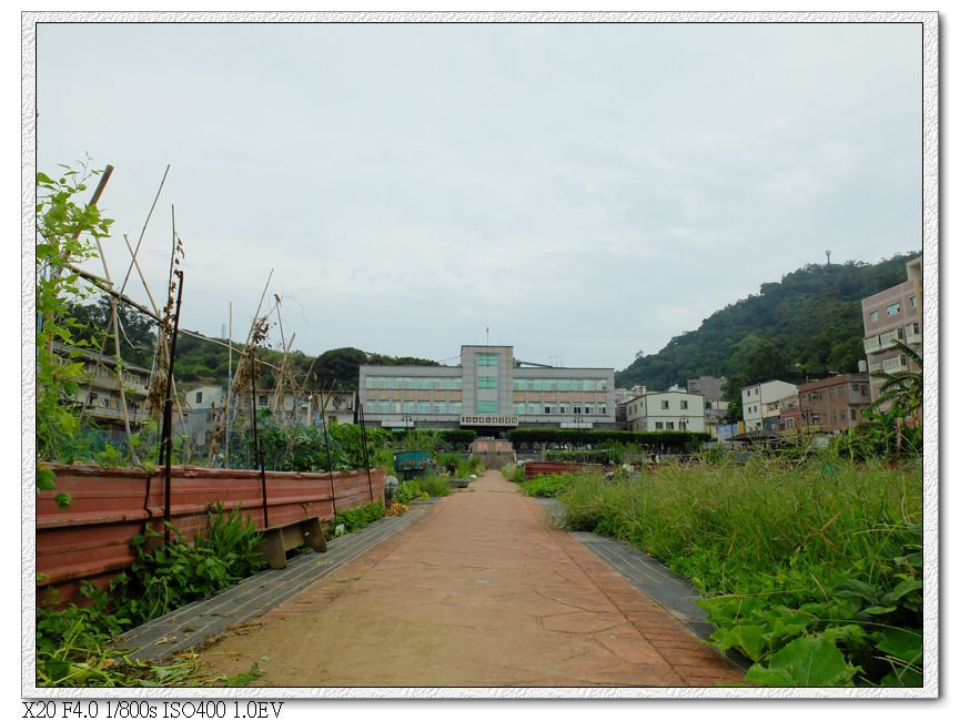 山隴-蔬菜公園