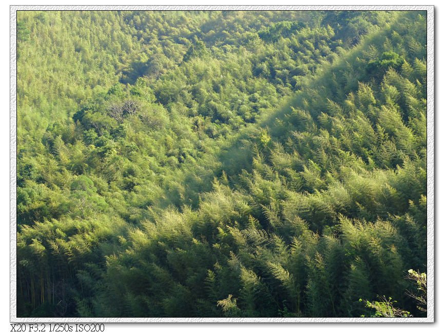 爺亨山景