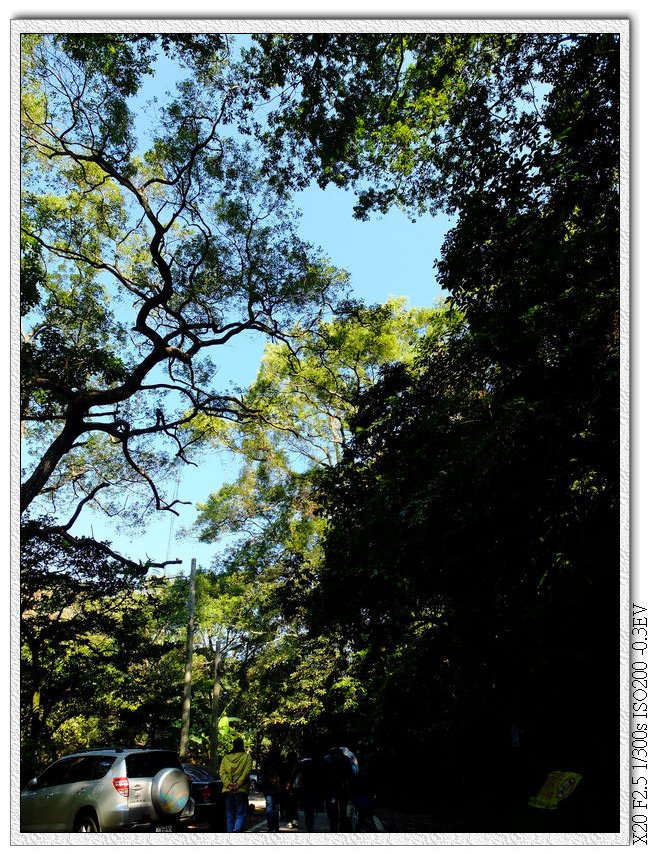 後慈湖-百吉林蔭步道