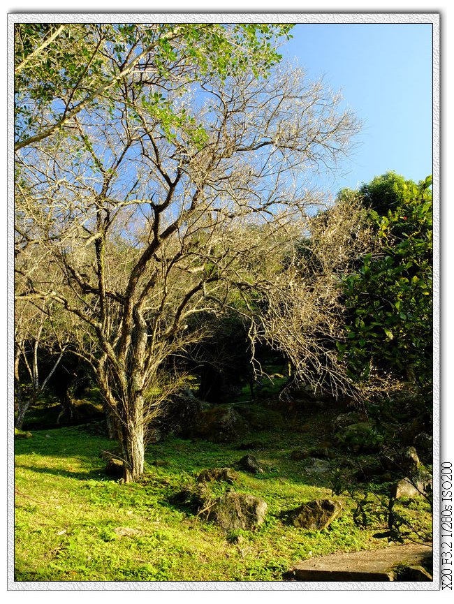 石門水庫-溪州公園