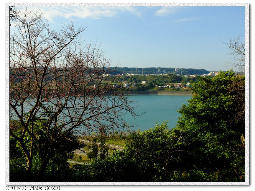 石門水庫-欒樹林公園