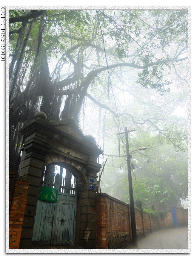 雨中鼓浪嶼