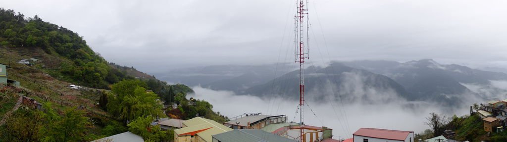 清晨雨中梨山