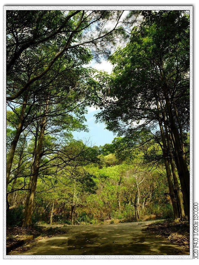 09:37 岔路口,左邊是長青運動廣場,右邊往老鼠崎,望高寮