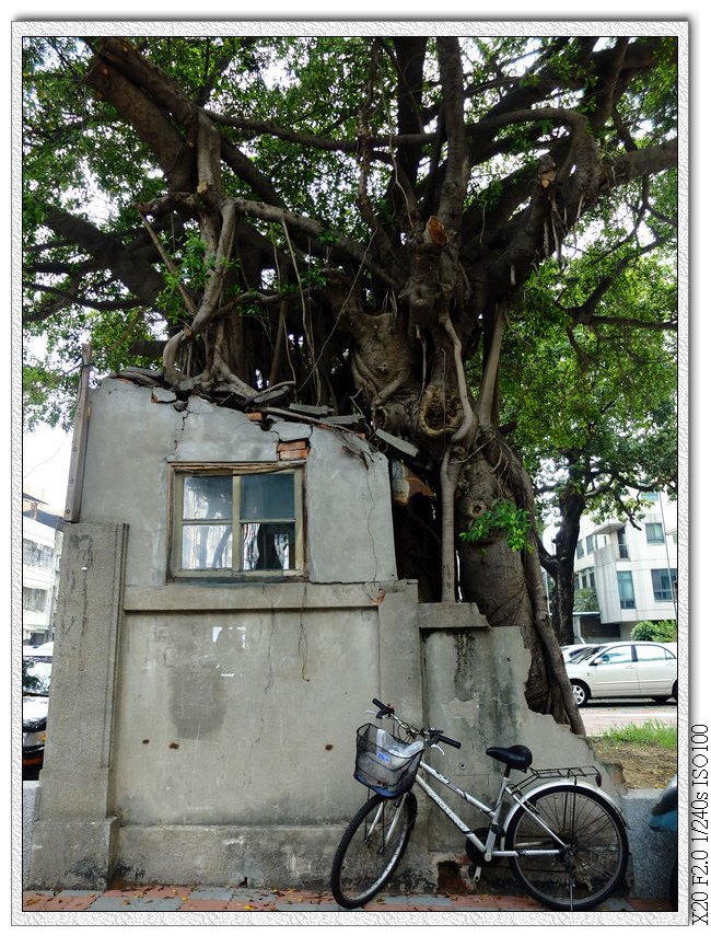 自立停車場