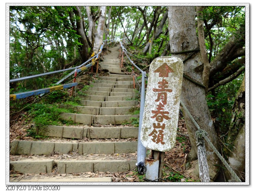 往前是青春嶺,選擇往前走