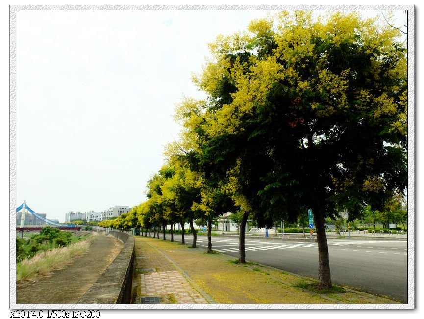 祥順路單車道