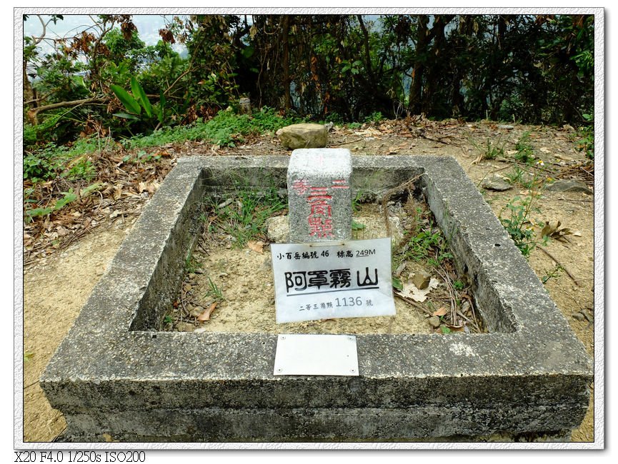 12:38 在經過鳳梨園又穿過龍眼樹後找到的阿罩霧山三角點-