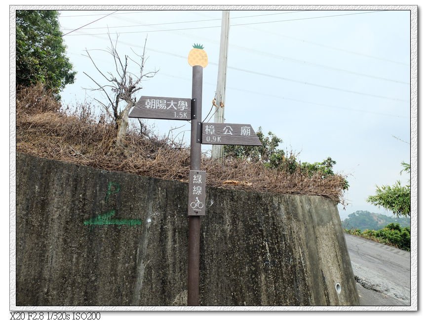 這裡回到綠線單車道