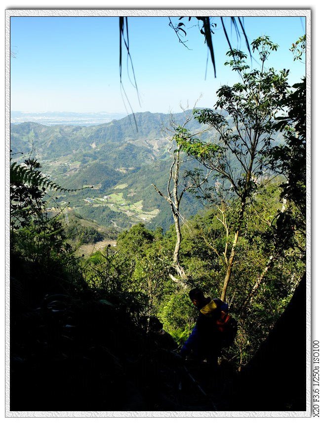 爬樹根下山