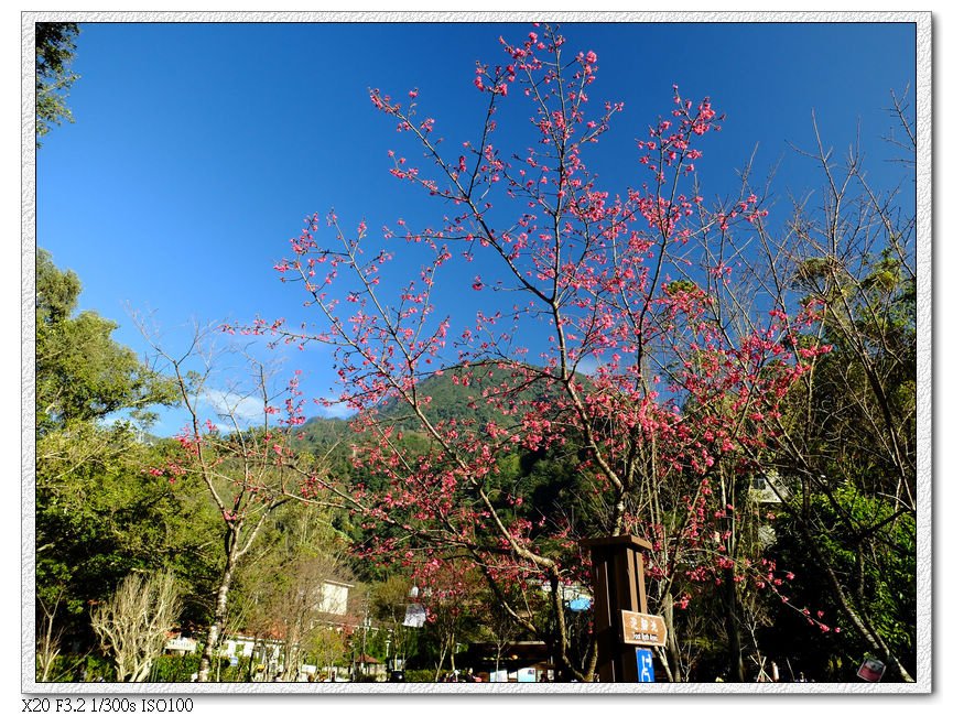 谷關溫泉公園