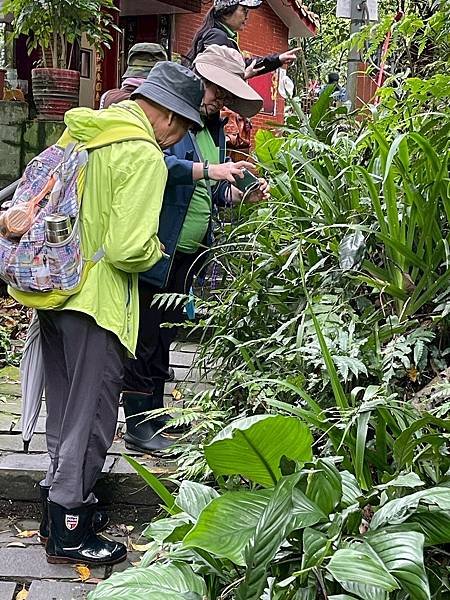 LINE_ALBUM_20250413路觀_250417_8.jpg