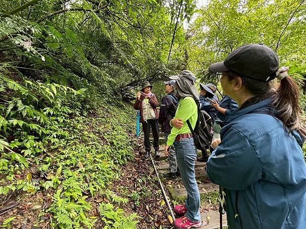 LINE_ALBUM_20250413路觀_250417_11.jpg