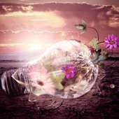 PS-PhotoEffects2011070303.jpg