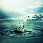 PS-PhotoEffects2011060801.jpg