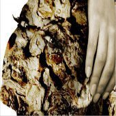 Photo-Effects2011033102.jpg