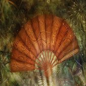 PS-PhotoEffects2011052002.jpg