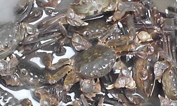 IMG_20141112_150329.jpg