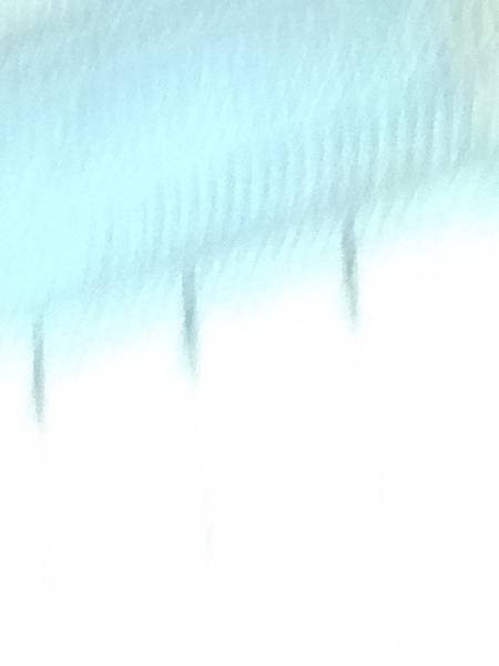IMG_20211224_224718_326.jpg