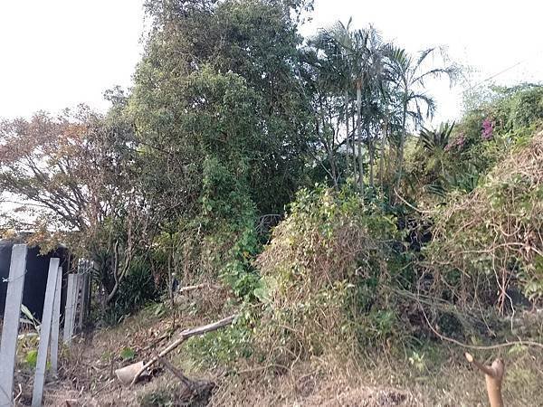整理田地