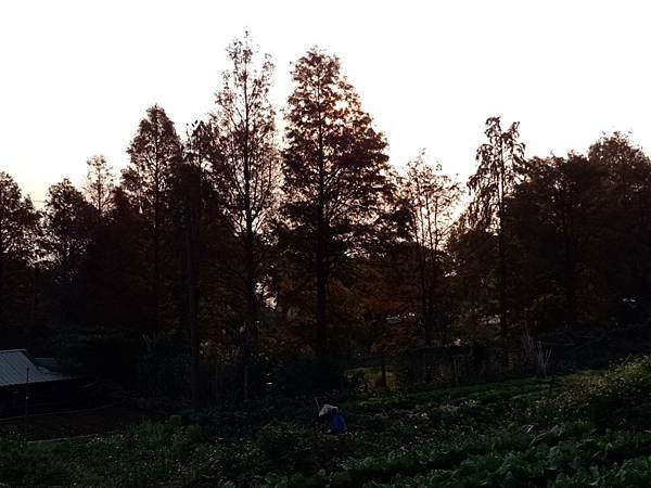 整理田地