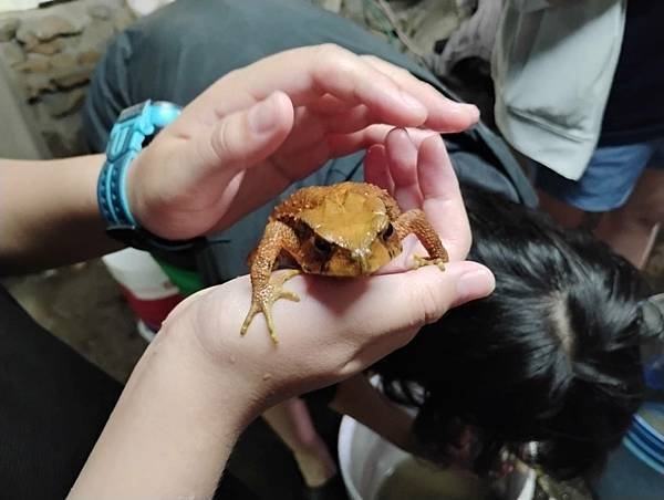 1140510 學生體驗戶外生活