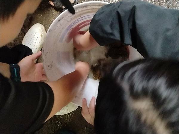 1140510 學生體驗戶外生活