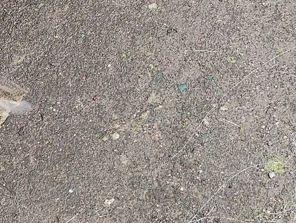 1140510 學生體驗戶外生活