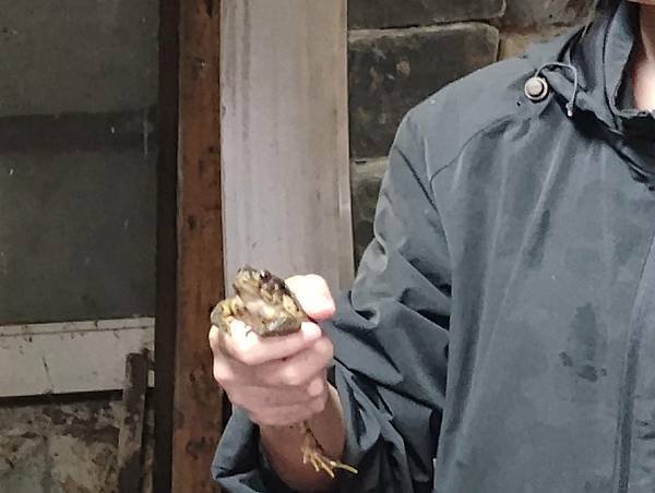 1140510 學生體驗戶外生活