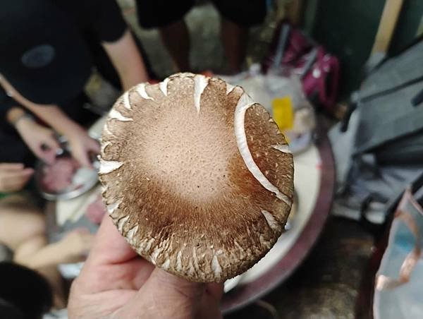 1140510 學生體驗戶外生活