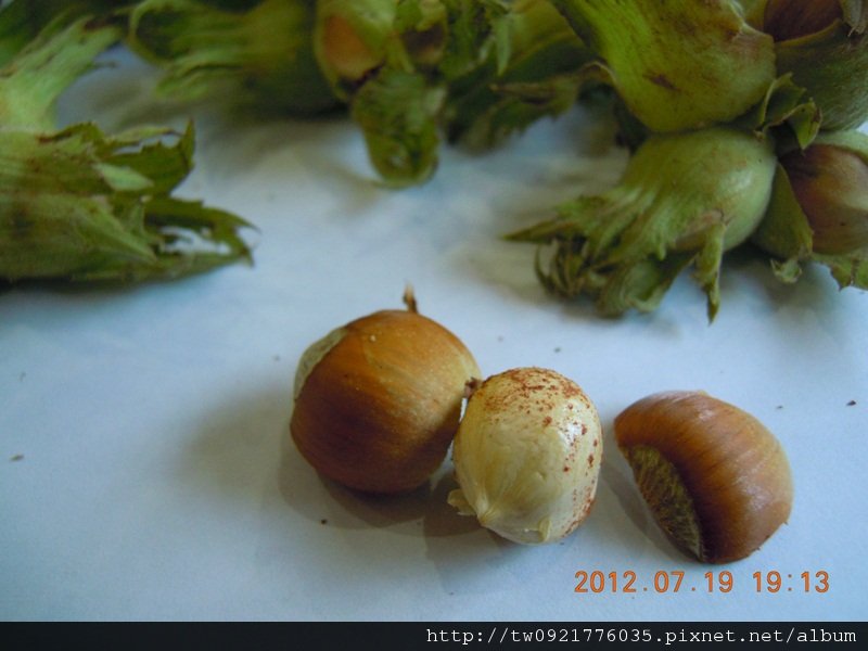 DSCN6226