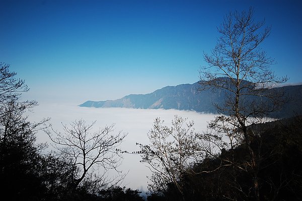 DSC_5298.JPG