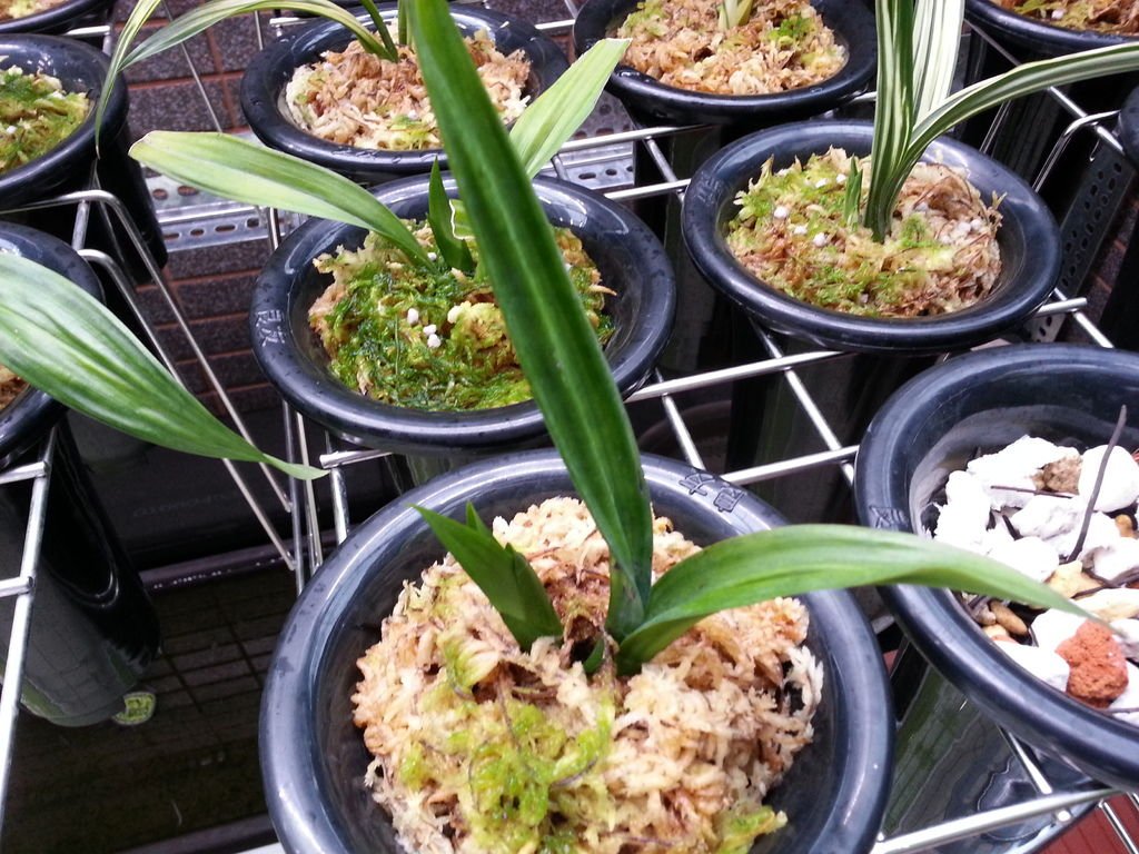 20140505_111318
