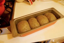 DSC08551.JPG