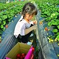 DSC_0871_調整大小