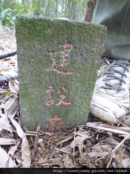 下大坑山.萬順寮山.深坑庄.阿柔洋 099.JPG