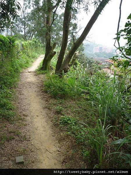 軍功山.中埔山.魚民日式料理 042.JPG